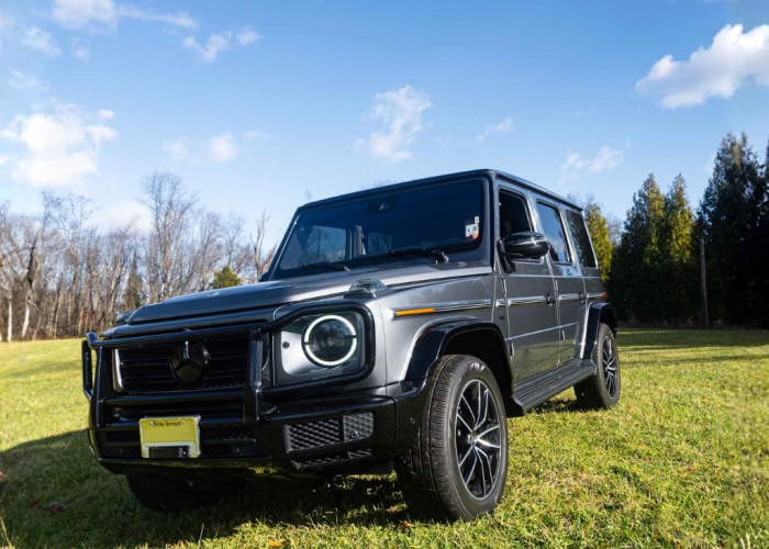 Untitled design (24)