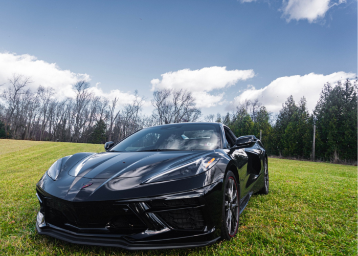 Untitled design (25)